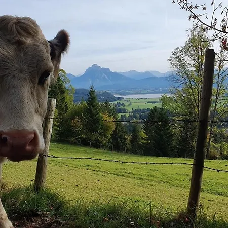 Alpenblick 3, Bergblick Pur Im Allgaeu ハルプレヒ