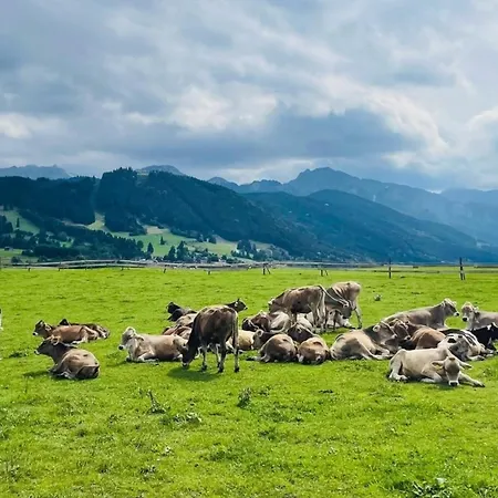 Alpenblick 3, Bergblick Pur Im Allgaeu *