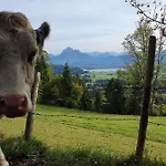 Alpenblick 3, Bergblick Pur Im Allgaeu ハルプレヒ
