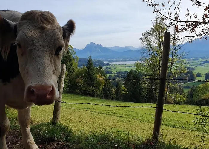 Alpenblick 3, Im Allgaeu, Bergblick Pur - Neueroeffnung! Halblech